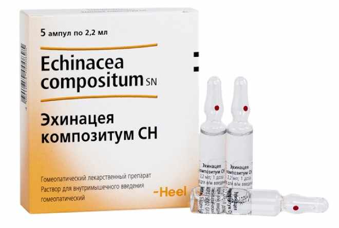 Эхинацея композитум СН