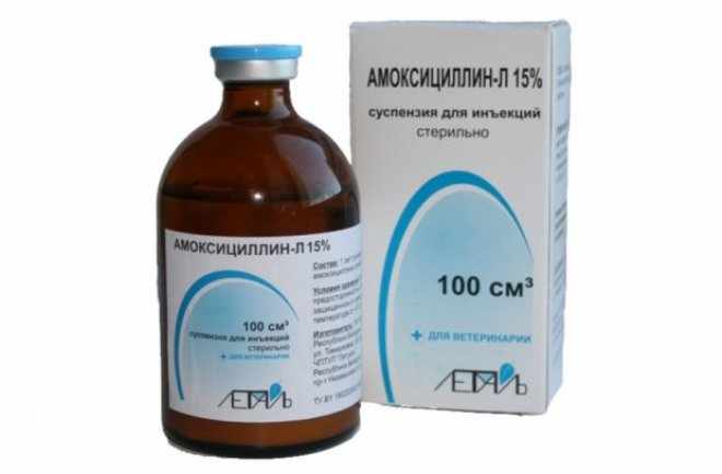 Амоксициллин в ампулах