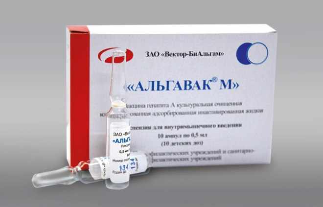 Альгавак М