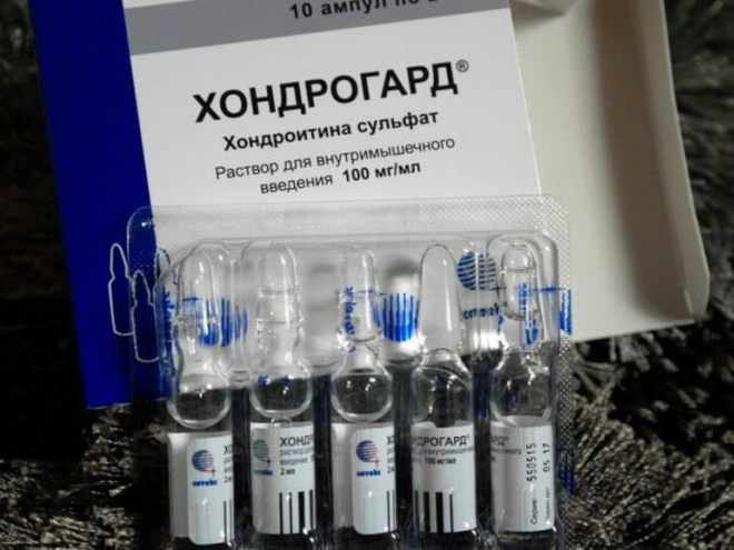 Препарат Хондрогард 100