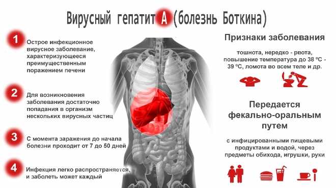 Что такое гепатит А