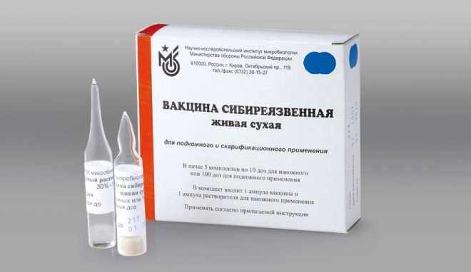 Сибиреязвенная вакцина