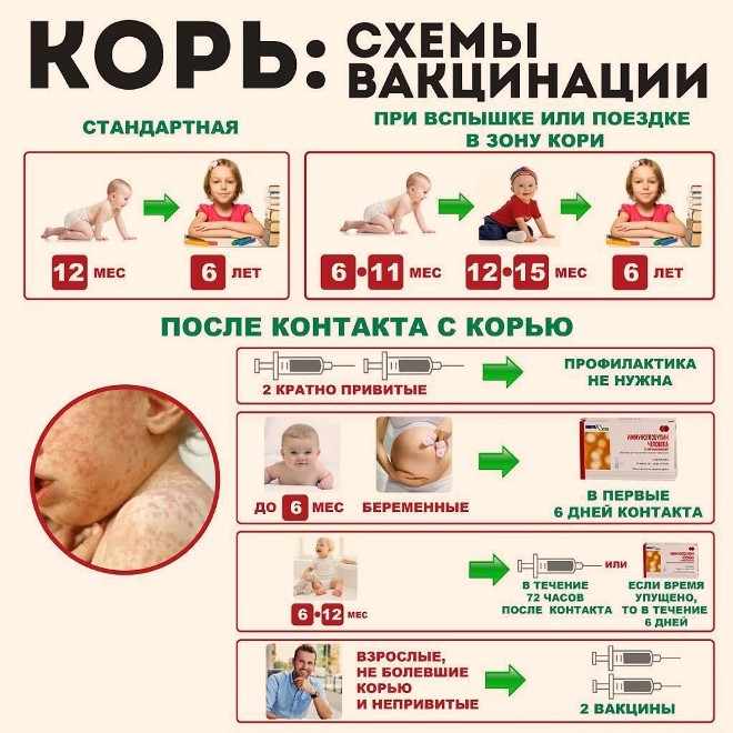 График вакцинации от кори