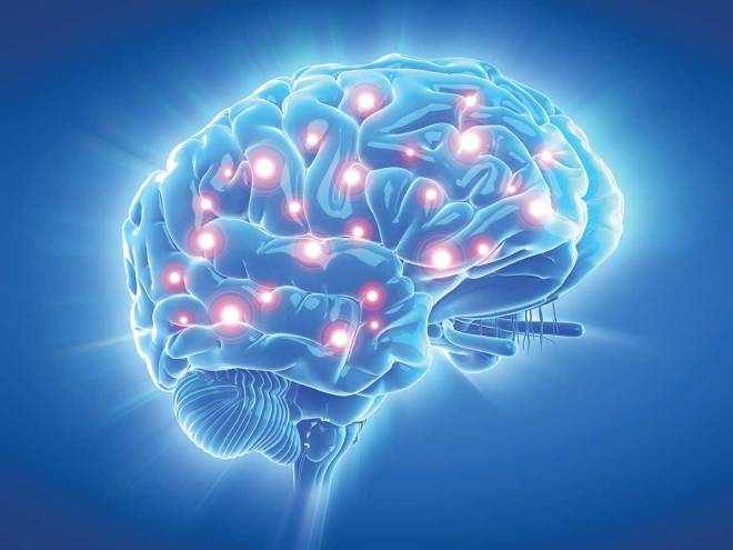 Мозг