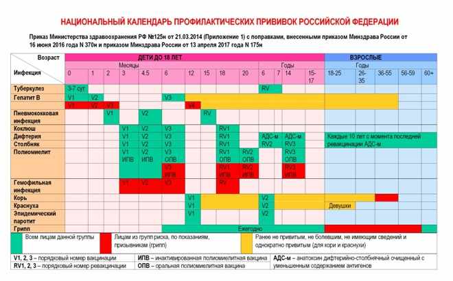 График проведения прививок для новорождённых
