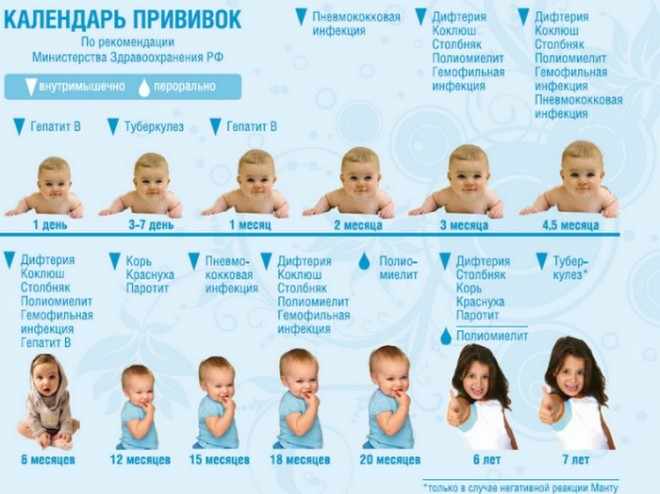 График вакцинации детей