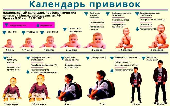 Календарь прививок