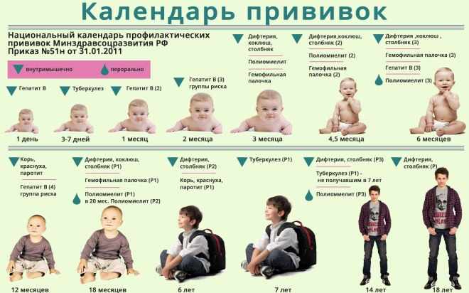 Календарь прививок детей