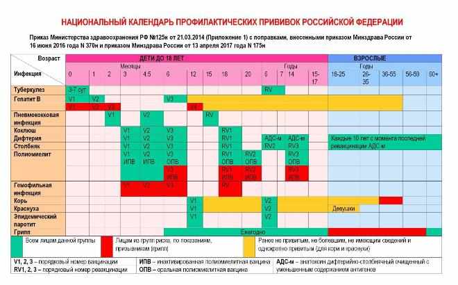 Национальный календарь профилактических прививок