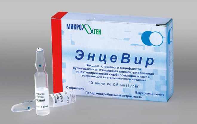 Вакцина ЭнцеВир
