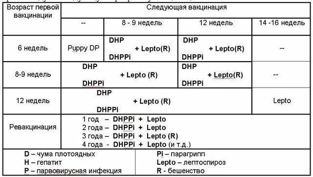 Первая прививка щенкам