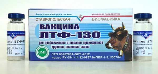 Вакцина ЛТФ-130