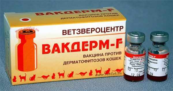 Вакцина Вакдерм