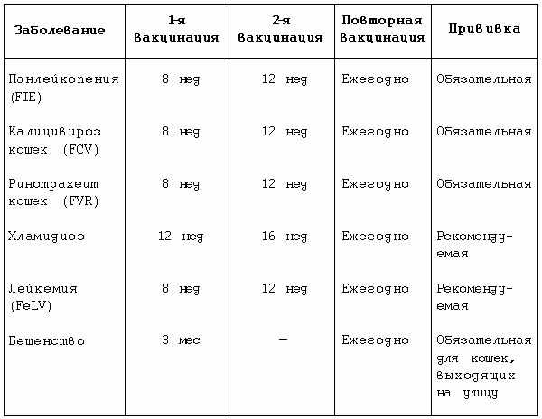 Таблица прививки для котят