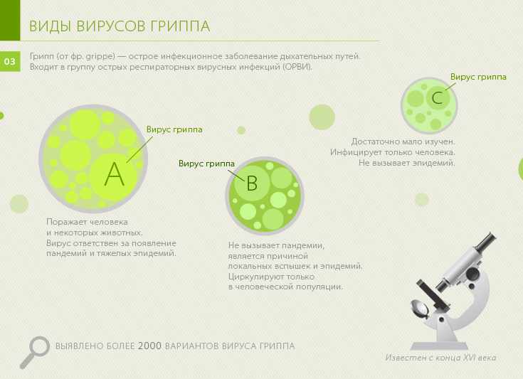 Виды вирусов гриппа