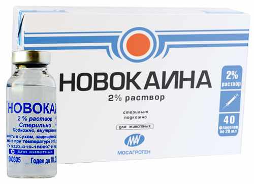 Новокаин
