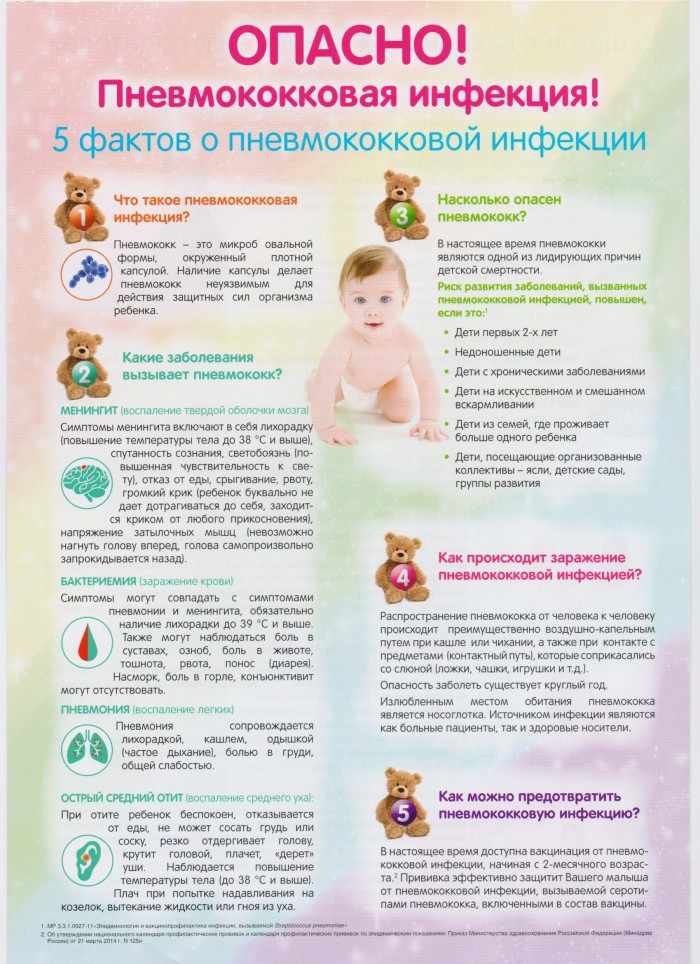 менингококковая инфекция 5 фактов