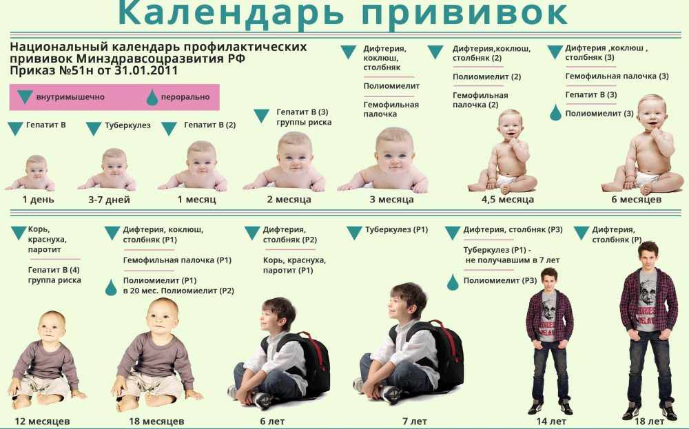 График прививок