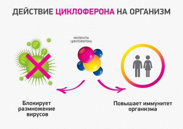 циклоферон уколы инструкция по применению