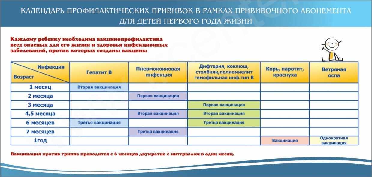 График прививок до года