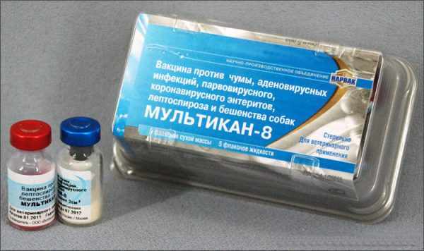 Мультикан