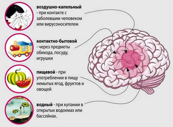 Акт Хиб
