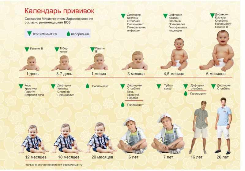 Календарь прививок