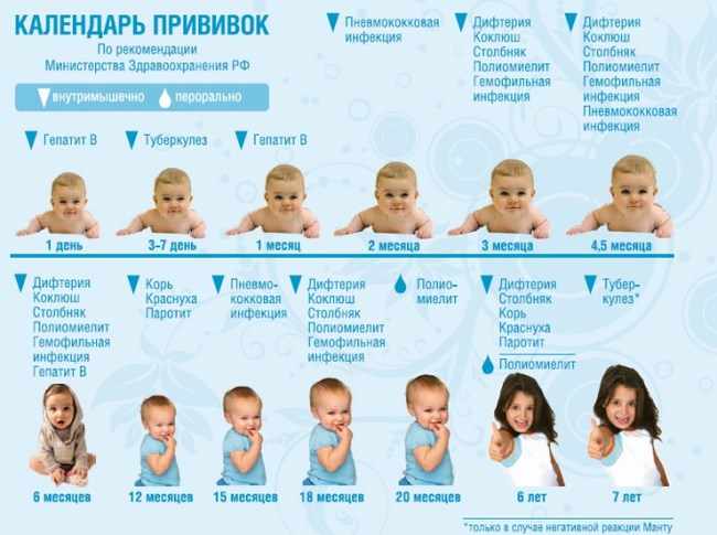 календарь прививок