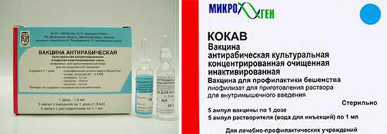 Кокав