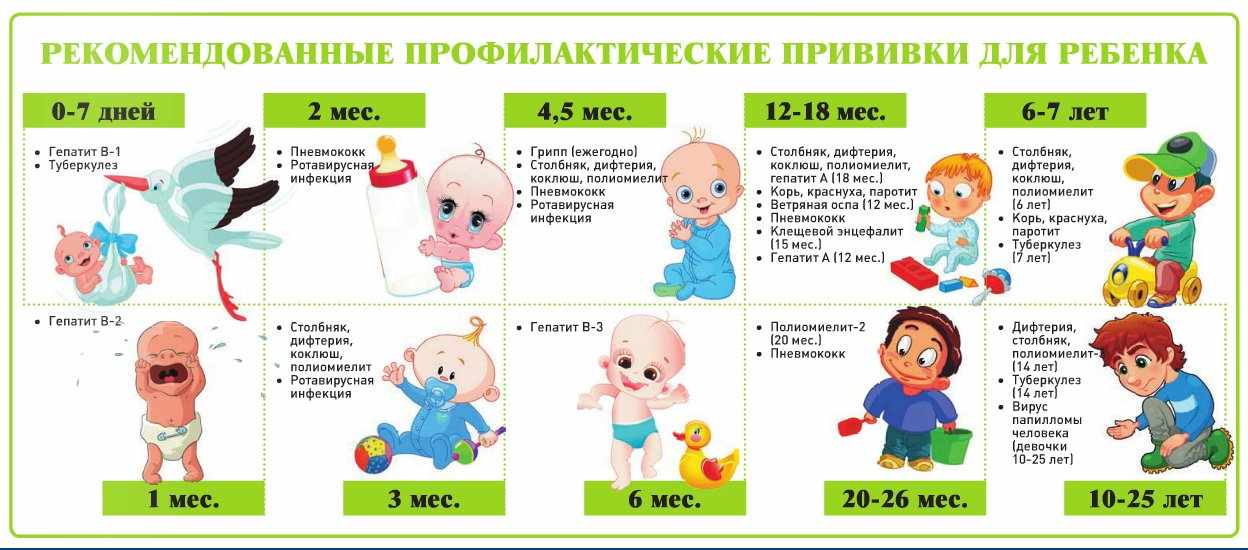 профилактические прививки