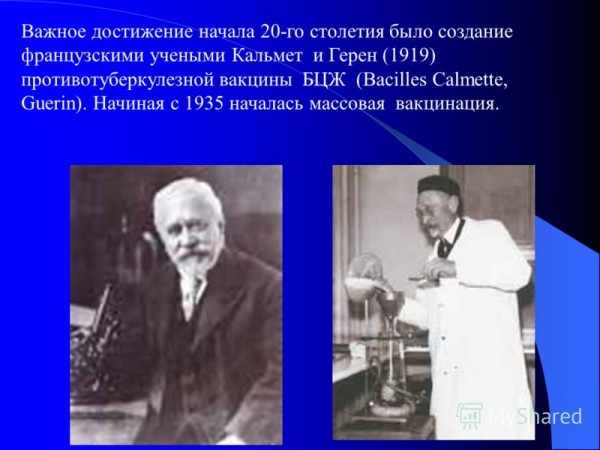 БЦЖ история