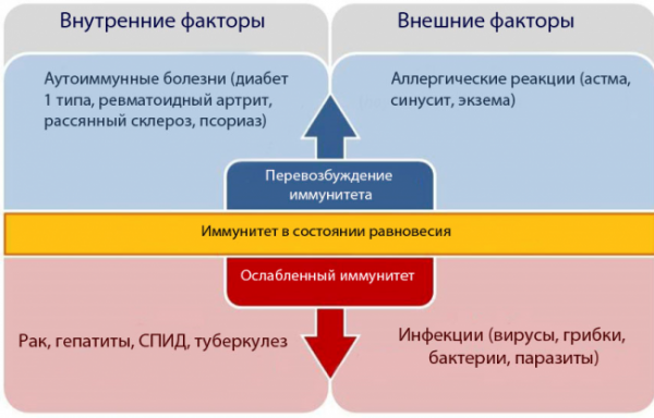 схема факторов, вызывающих рак