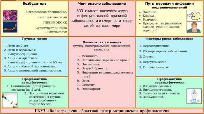 Возбудители и пневмония