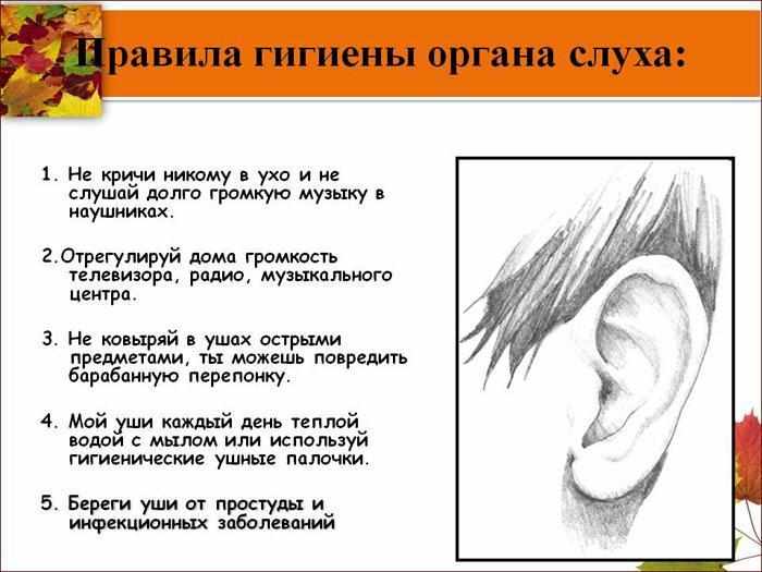 Правила гигиены органа слуха