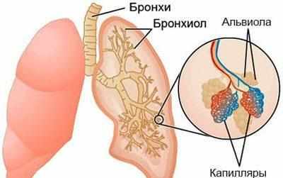 Проявление альвеолита