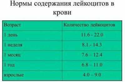 Норма лейкоцитов в крови
