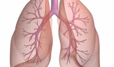 Бронхиальное дерево