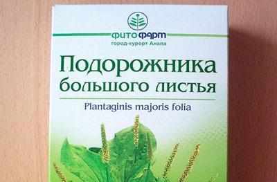 Трава подорожника