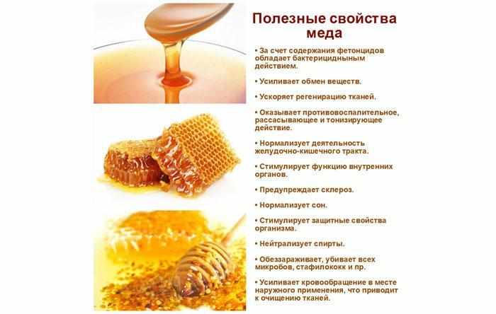 Полезные свойства мёда