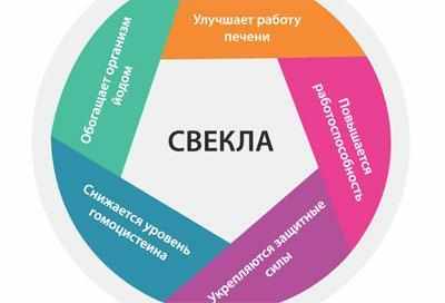 Полезные свойства свеклы