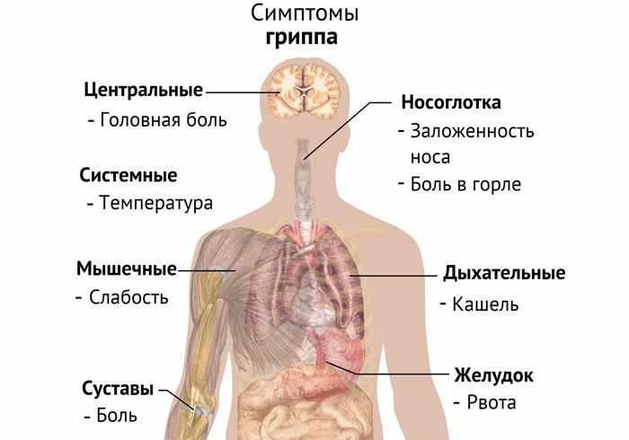 Симптомы гриппа