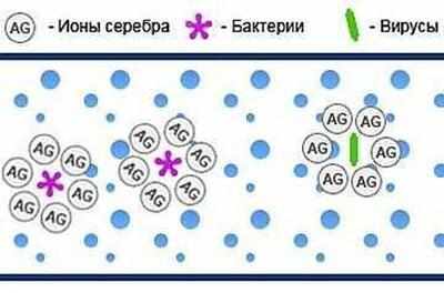 Действие протаргола