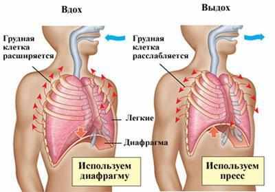 Дыхание во время гимнастики