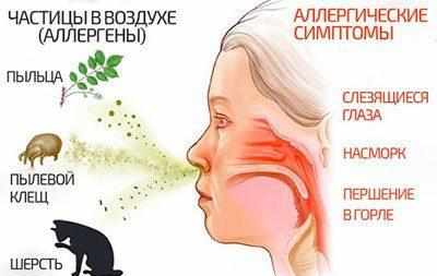 Причины и симптомы аллергического насморка