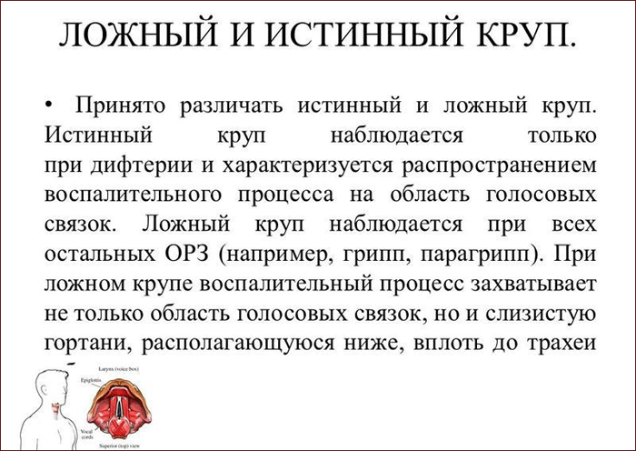 чем различаются ложный и истинный круп