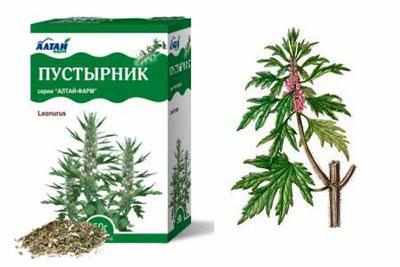 Трава пустырника