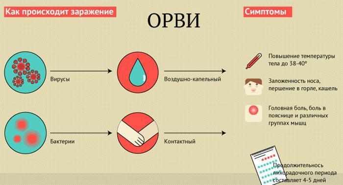 Заражение и симптомы орви