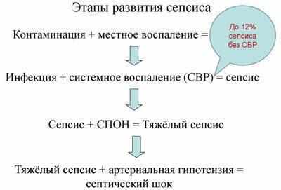 Этапы развития сепсиса