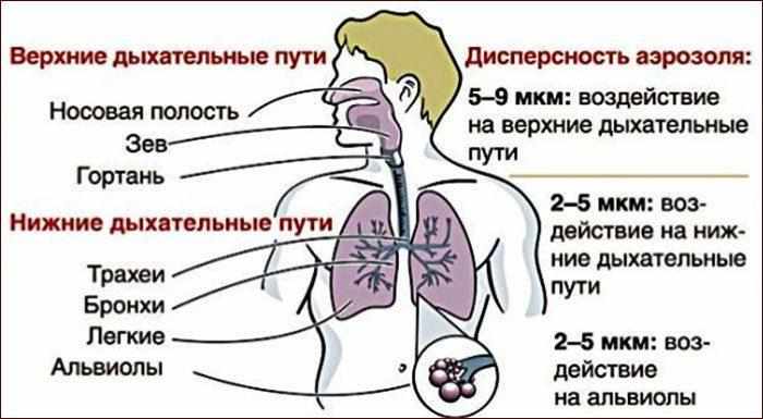 Применение небулайзера для лечения дыхательной системы