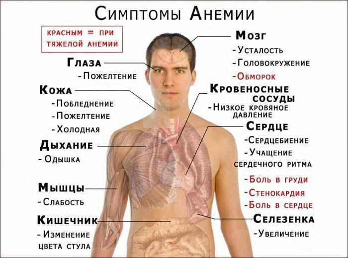 Симптомы анемии
